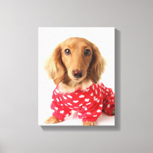 Impressão Em Tela Filhote de cachorro do Dachshund que veste o