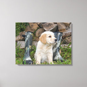 Impressão Em Tela filhote de cachorro do golden retriever com botas