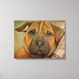 Impressão Em Tela Filhote de cachorro do Sharpei-Lebreiro