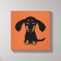 Filhote de Dachshund de Cabelo Longo
