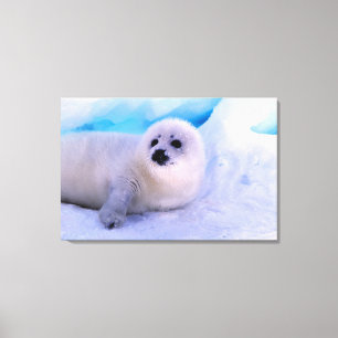 Impressão Em Tela Filhote de foca harpa coberto de flocos de neve