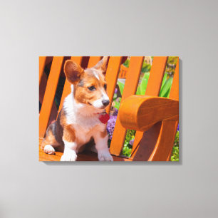 Impressão Em Tela Filhote de Pembroke Welsh Corgi sentado em um banc