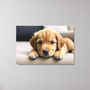 Impressão Em Tela Filhote de Retriever Dourado