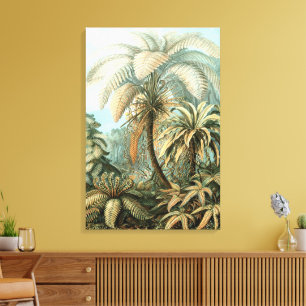 Impressão Em Tela Filicinae por Ernst Haeckel, Plantas de samambaia 