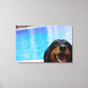 Impressão Em Tela Fim-acima de uma ânsia do cão do Dachshund