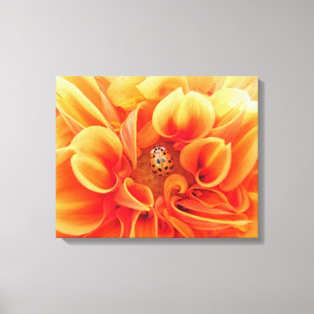 Impressão Em Tela Fire Orange Dahlia Flower com buca-dama (Frente)