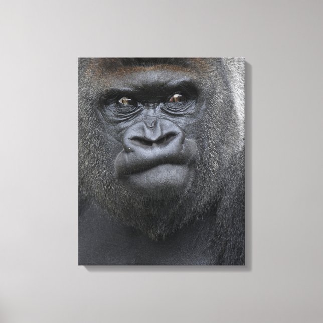 Impressão Em Tela Flachland Gorilla (Frente)
