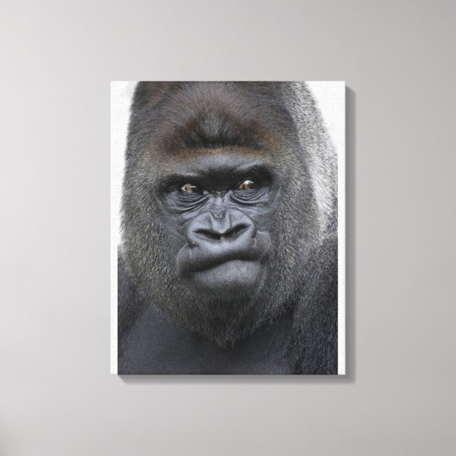 Impressão Em Tela Flachlandgorilla, Gorilla (Frente)