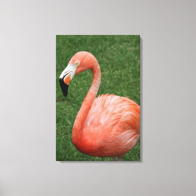 Impressão Em Tela Flamingo Rosa (Frente)