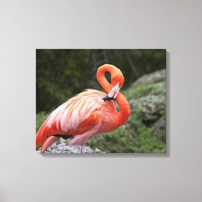 Impressão Em Tela Flamingo Rosa (Frente)