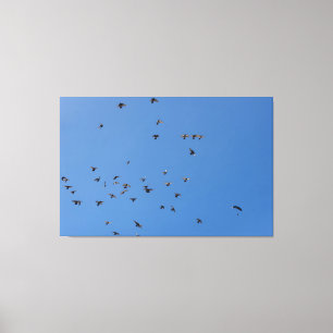 Impressão Em Tela Flock of Birds Flying in Clear Blue Sky with Parag