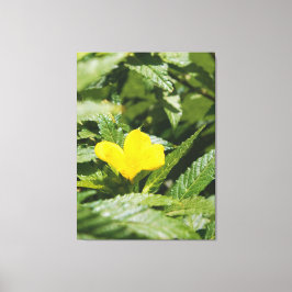 Impressão Em Tela Flor Amarela Ousada Entre Folhas Verdes