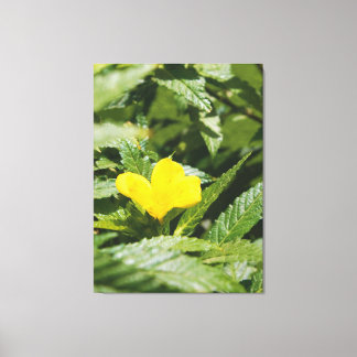 Impressão Em Tela Flor Amarela Ousada Entre Folhas Verdes