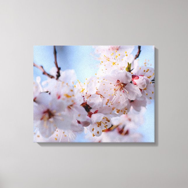 Impressão Em Tela Flor Apricot Japonês (Frente)