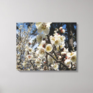 Impressão Em Tela Flor branco de cereja / Sakura / ク サ(桜)