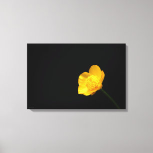 Impressão Em Tela Flor Buttercup 24x16 (60x40cm) waccn