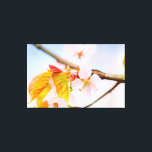 Impressão Em Tela Flor Charming Chic Sakura E Folhas Em Primavera<br><div class="desc">Um grupo encantador de flores sakura em um galho de árvore. Cor rosa suave, folhas laranja. Céu azul pálido. A beleza espantosa de Hanami - a estação da sakura assistindo. Uma pintura digital muito grande a partir de uma fotografia. Impressão floral esticada de tela para decorar seu lugar ou para...</div>