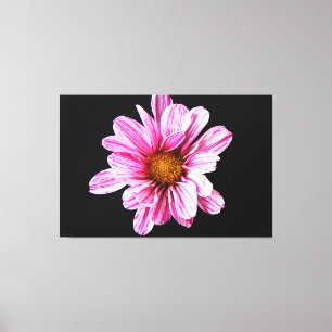 Impressão Em Tela Flor Chrysanthemum 60x40 (150x100cm) waccn