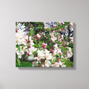 Impressão Em Tela Flor da árvore de Apple