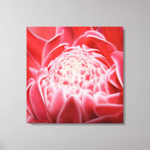 Impressão Em Tela Flor da Planta do Torneio