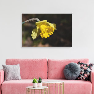 Impressão Em Tela Flor Daffodil Amarelo bonito 24,00" x 16,00"