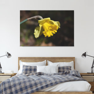 Impressão Em Tela Flor Daffodil Amarelo bonito 48,00" x 32,00"