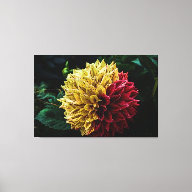 Impressão Em Tela Flor Dahlia (Frente)