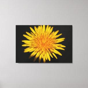 Impressão Em Tela Flor Dandelion 36x24 (90x60cm) waccnm