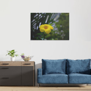 Impressão Em Tela Flor de Allamanda Amarela com Gotículas de Água