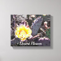 Flor de cacto amarelo em primavera