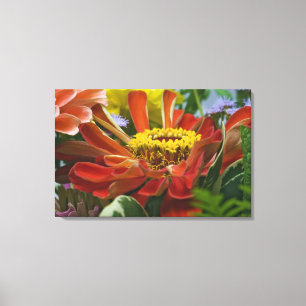 Impressão Em Tela flor de crisântemo