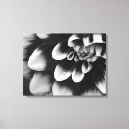 Impressão Em Tela Flor de Dália Preta e Branca