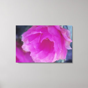 Impressão Em Tela Flor de Hedgehog Cactus rosa (Echinocereus)