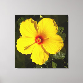 Impressão Em Tela Flor de Hibisco Amarelo