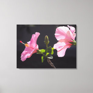 Impressão Em Tela Flor de Hibiscus em Perfil