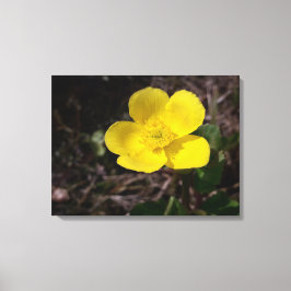 Impressão Em Tela Flor de jardim amarelo