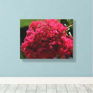 Impressão Em Tela flor de Lagerstroemia indica