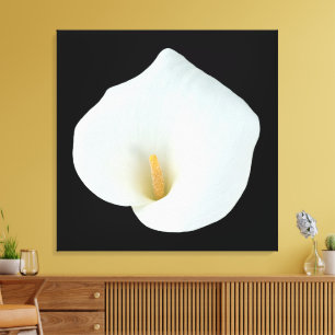 Impressão Em Tela Flor de Lírio Calla Branco Foto Jardim de Quintal