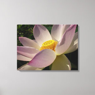 Impressão Em Tela Flor de Lotus Cor Rosa III Verão Floral