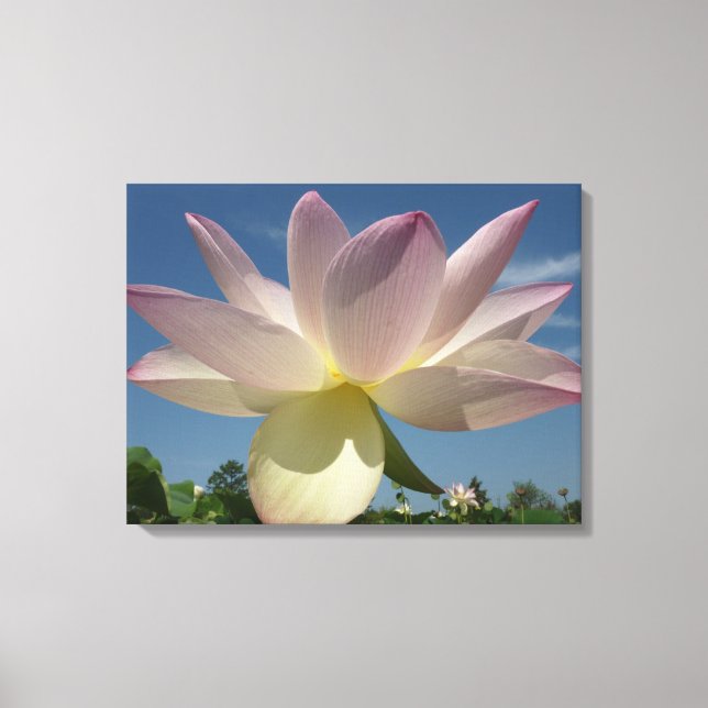 Impressão Em Tela Flor de Lotus e Céu Azul II (Frente)