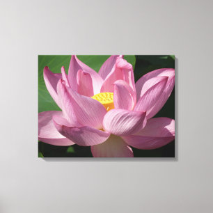 Impressão Em Tela Flor de Lotus Rosa IV