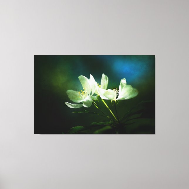 Impressão Em Tela Flor de Maçã - Duas Flores (Frente)