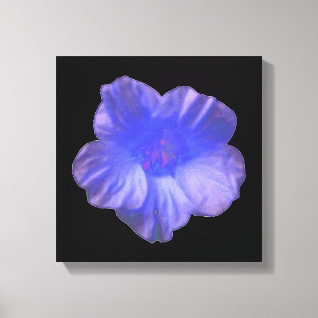 Impressão em Tela Flor de Nastúrcio Azul (Frente)
