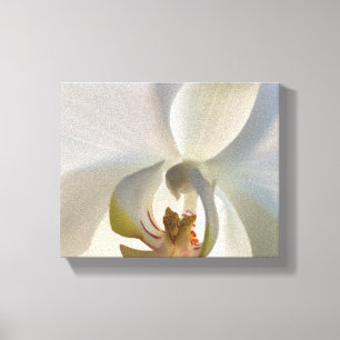 Impressão Em Tela Flor de Orquídea Branca
