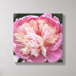 Impressão Em Tela Flor de perto - Em flor - Rosa