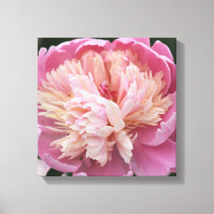 Impressão Em Tela Flor de perto - Em flor - Rosa