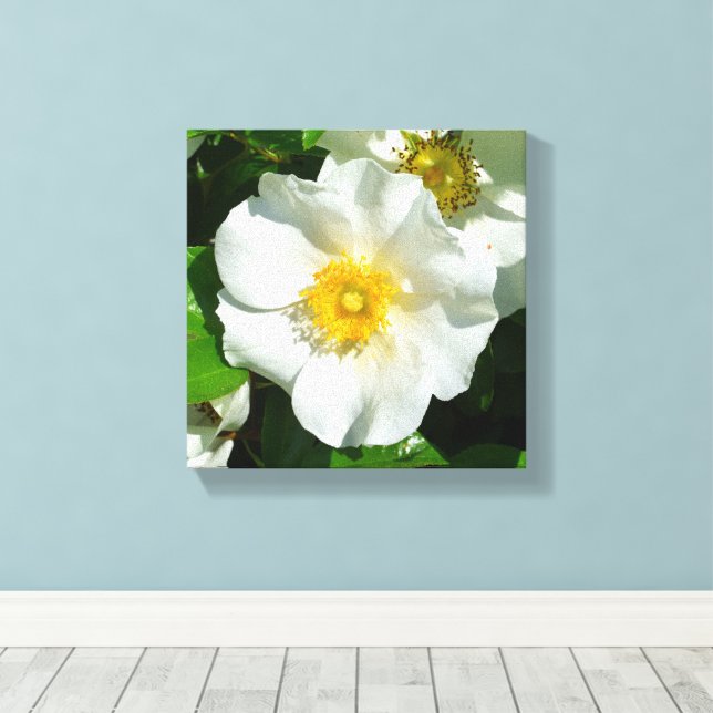 Impressão Em Tela flor de rosa Cherokee (Insitu(piso de madeira))