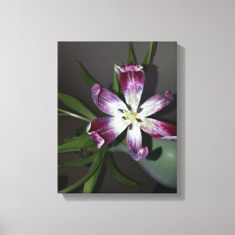 Impressão Em Tela Flor de Tulip