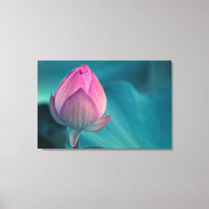 Impressão Em Tela Flor do lírio de água de Lotus