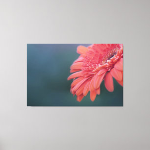 Impressão Em Tela Flor do vermelho do Gerbera